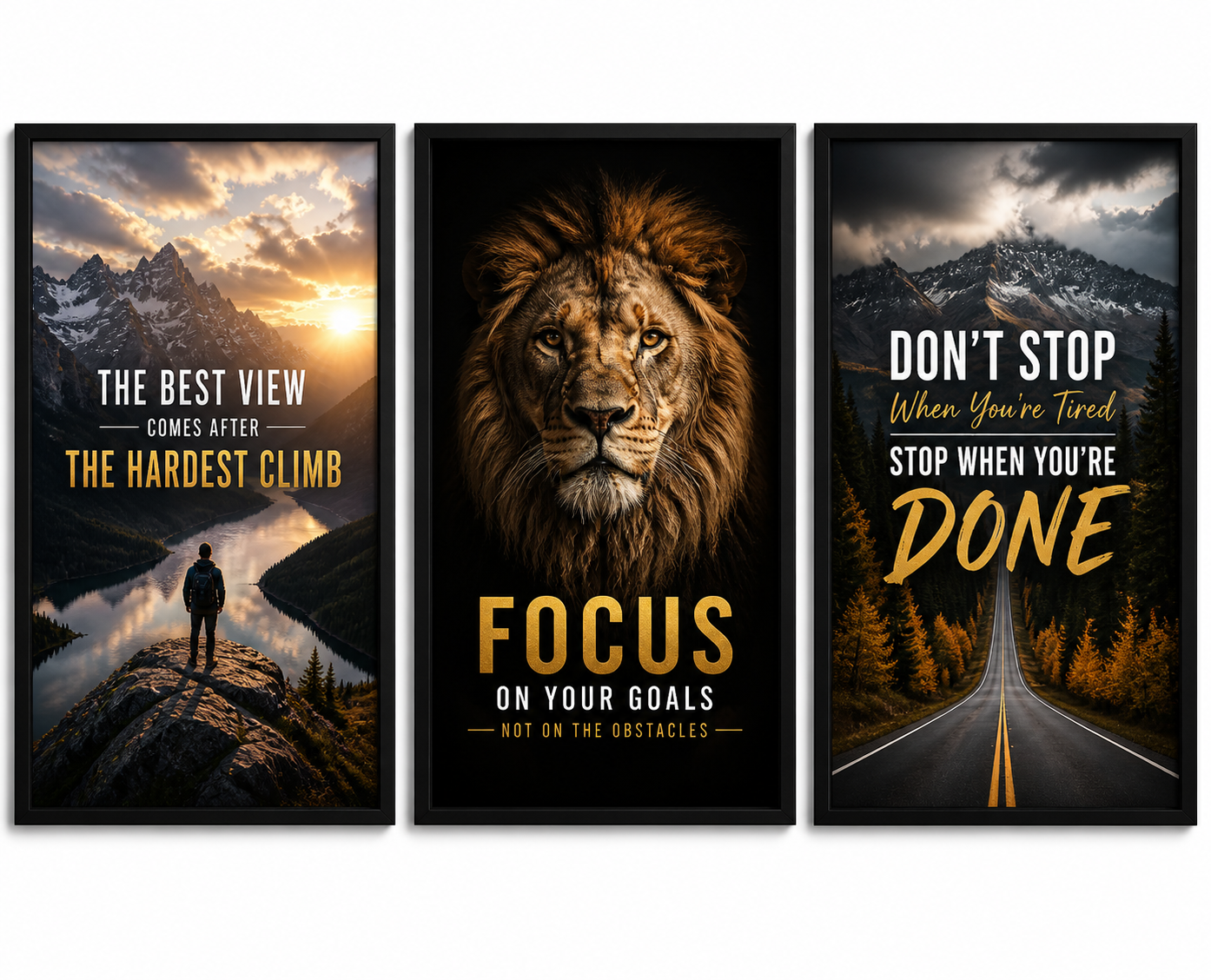PrimeWall™ Premium Poster Frame – Black / Gold / White